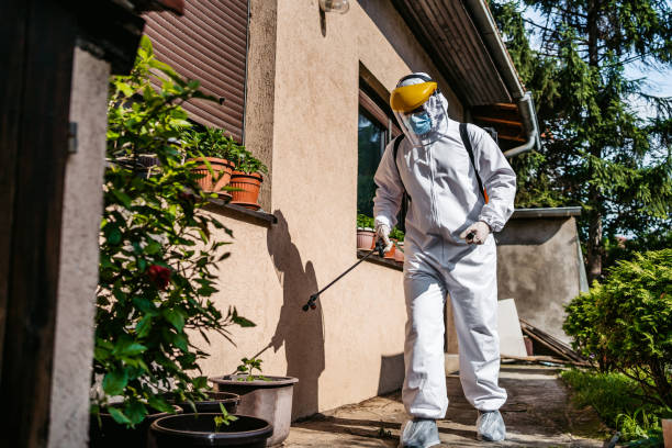 Best Cockroach Control Services  in Dunnigan, CA