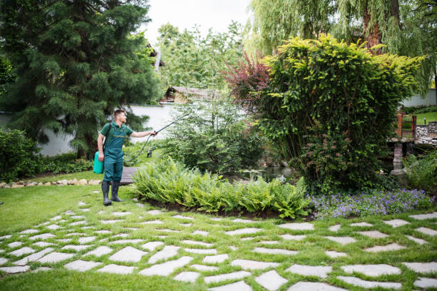 Wasp Removal Services in Dunnigan, CA