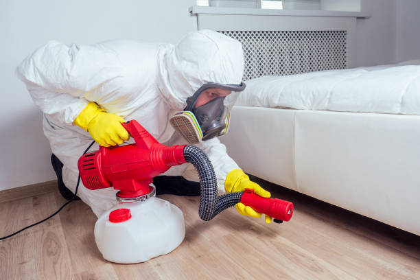 Flea Control Services in Dunnigan, CA