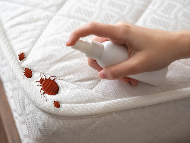 Best Pest Control Near Me  in Dunnigan, CA